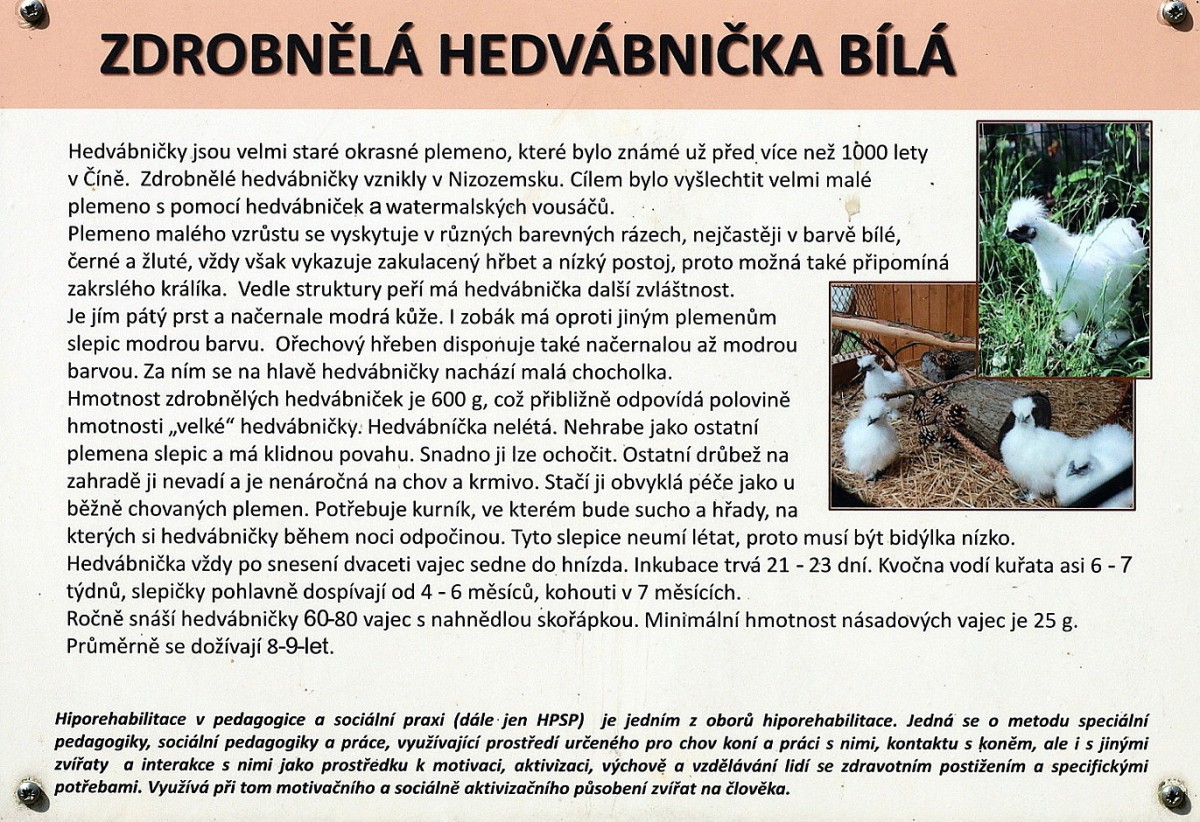 Slide 84
