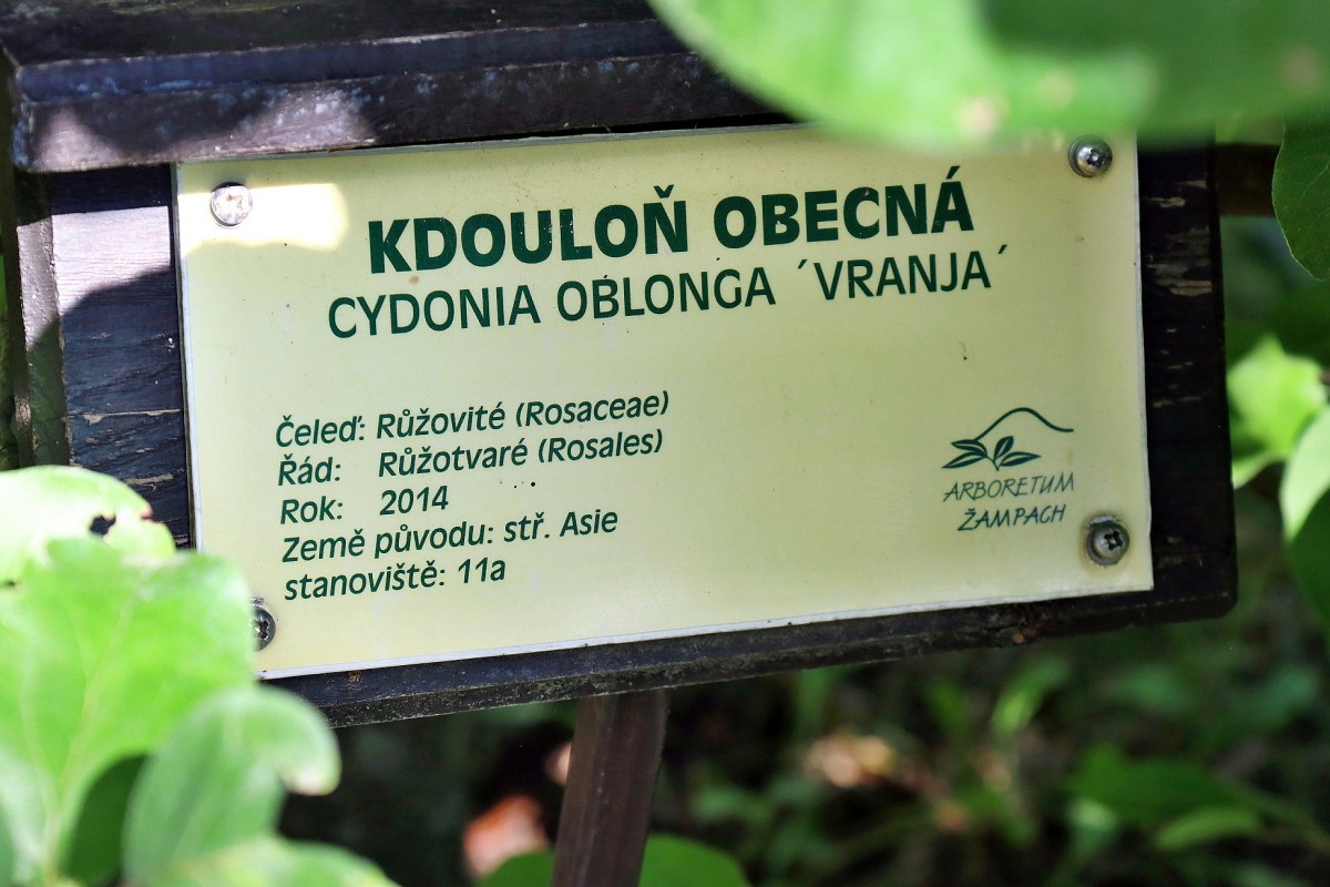 Slide 63