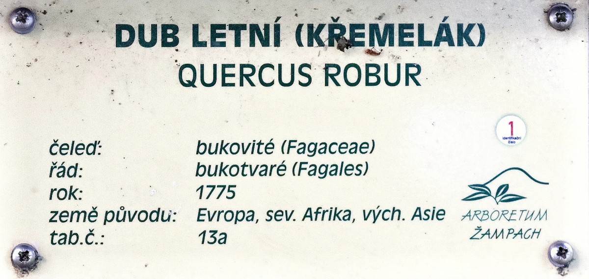 Slide 53