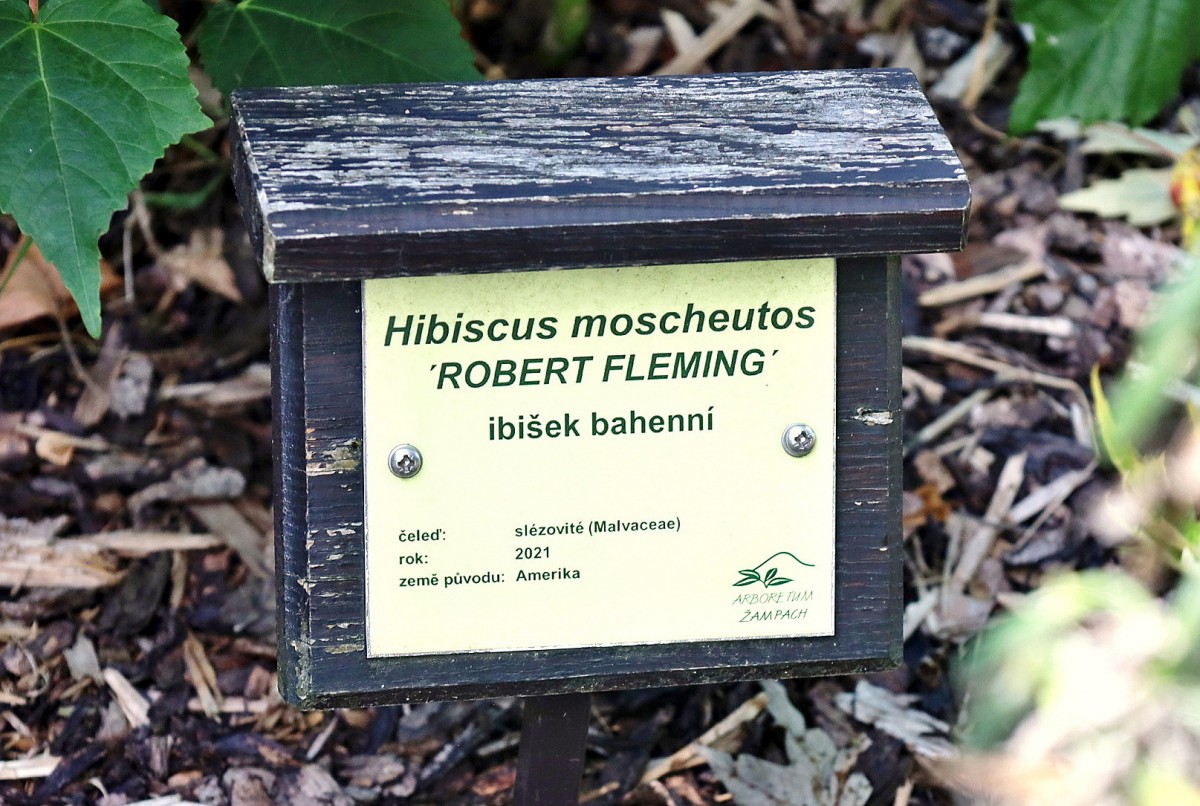 Slide 43