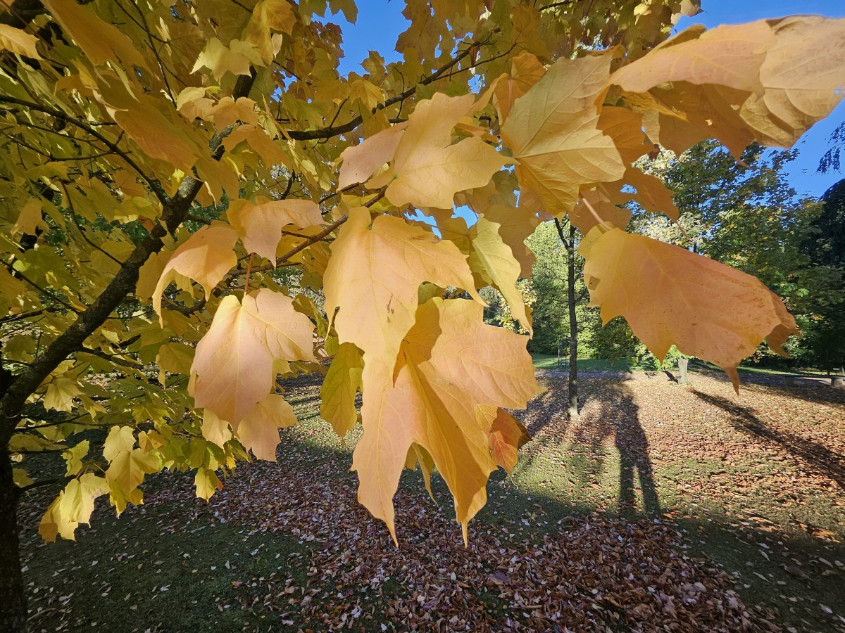 Slide 46