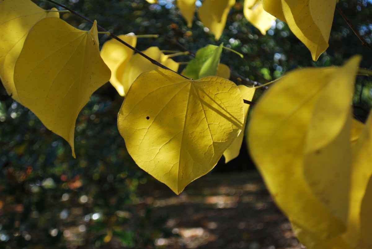 Slide 25