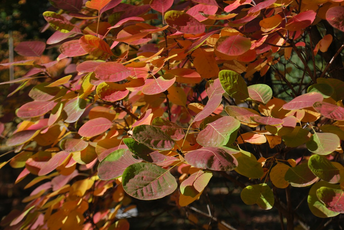 Slide 55