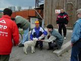 2004, canisterapie na farm FITMINu