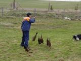 2004, canisterapie na farm FITMINu