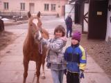 2003, Chov koní