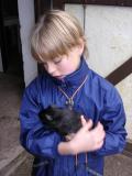 2003, morčata a králíček ve stáji u koní