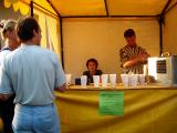 Letn hudebn festival-2005