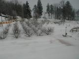 2006-v sadu je 80 cm sněhu
