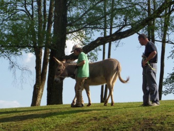 Čarodějnice na Žampachu 2014