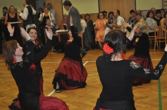 Věneček na závěr tanečních - Dlouhoňovice - 13.11. 2014