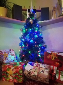 Svátky vánoční v Domovu pod hradem Žampach 2020