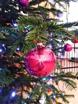 Dárečky od zaměstnanců fi Autoneum CZ s.r.o. Choceň.