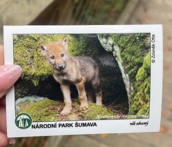 2024 Pobyt CHB - Šumava -Masákova Lhota (18.10.)