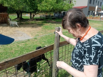 2025 Výlet domek Adam - statek Apolenka (6.6.)