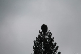 Foto Iscarex - Honza Šimůnek a Markéta Černá: 2. ročník běžeckého krosu Okolo Žampachu 23.10. 2016