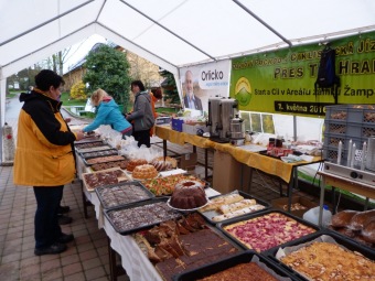 2016 Orientační běžci na Žampachu (5. kolo VčP OB 16.04. 2016)