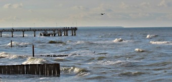 Lukáš Schauer na Mistrovství Evropy ve stolním tenisu Zelenogrask Rusko 23 .- 30.10. 2016