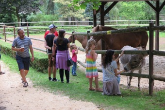 2017 - Letní hudební festival pod hradem Žampach (22.7.)