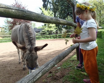 Přes tři hrady - stanoviště Žampach - 9.5.2015