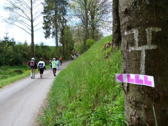Přes tři hrady - stanoviště a trasy - Žampach -  7.5. 2016