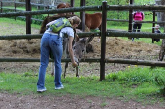 6.5. 2017 - Přes tři hrady - stanoviště a trasy Žampach