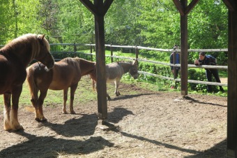 2019 - Přes tři hrady - stanoviště a trasy Žampach (11.5.)