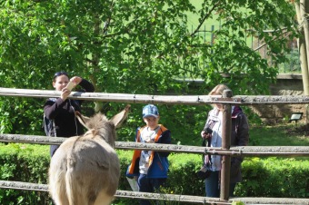 2019 - Přes tři hrady - stanoviště a trasy Žampach (11.5.)