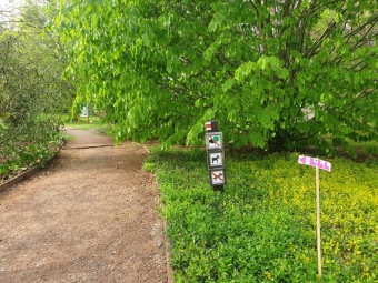 2022 - Přes tři hrady - stanoviště a trasy Žampach (7.5.)