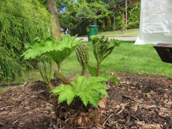 2025 - Přes tři hrady - stanoviště a trasy Žampach (10.5.)