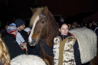 12.12 2014  Vánoční akce - Jarmark - dětské dílny - koncert