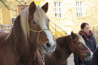 2016 - Příprava akce - Jarmark - dětské dílny - koncert (8.12.)