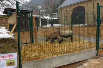 2016 - Příprava akce - Jarmark - dětské dílny - koncert (8.12.)