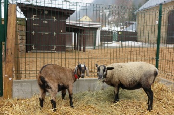 2016 - Příprava akce - Jarmark - dětské dílny - koncert (8.12.)