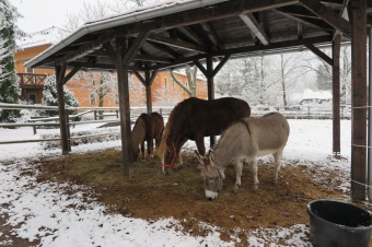 2017 - Příprava akce - Jarmark - dětské dílny - koncert (1.12.)