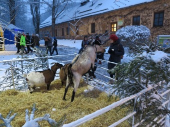 2023 VÁNOČNÍ JARMARK (1.12.)