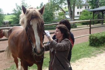 Zámecká slavnost a dětský den  - 30.5. 2015