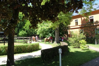 2017 - Zámecká slavnost a dětský den - 50 let služeb (27.5.)