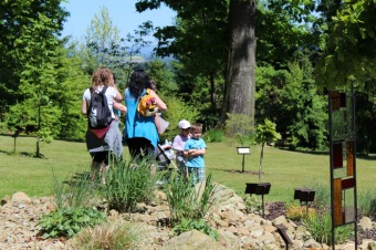 2017 - Zámecká slavnost a dětský den - 50 let služeb (27.5.)
