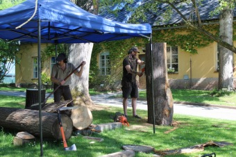 2017 - Zámecká slavnost a dětský den - 50 let služeb (27.5.)