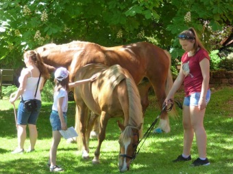 2017 - Zámecká slavnost a dětský den - 50 let služeb (27.5.)