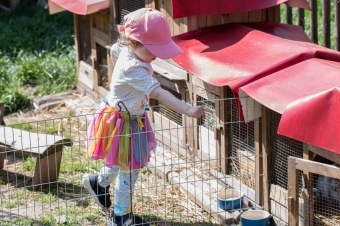 2023 Zámecká slavnost s programem pro děti (27.5.)