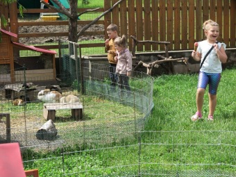 2024 Zámecké odpoledne s programem pro děti (1.6.)