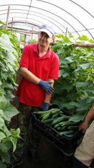 Zahradnictví - aktivizační centrum  (červenec 2015)