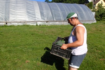 Zahradnictví - aktivizační centrum  (červenec 2015)