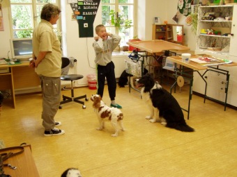 2016 Canisterapie - Ing. Radko Loučka, CSc - nominace dobrovolník roku Pardubického kraje