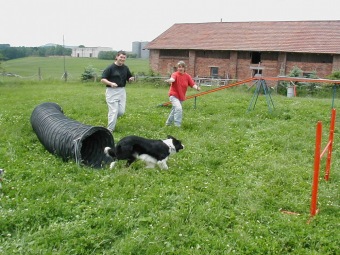 2016 Canisterapie - Ing. Radko Loučka, CSc - nominace dobrovolník roku Pardubického kraje