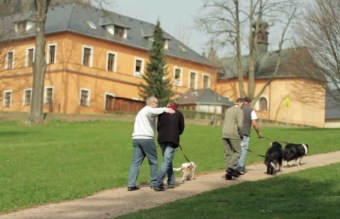 2016 Canisterapie - Ing. Radko Loučka, CSc - nominace dobrovolník roku Pardubického kraje