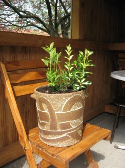 Dílenské výrobky - keramika (2016)