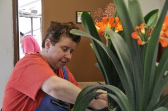 Zahradnictví - aktivizační centrum - jarní práce 2016